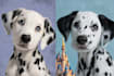 create custom disney inspired pet artwork