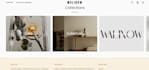 design a professional shopify store