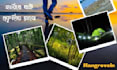 design professional canva social media posts and templates