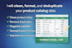 clean, format, and deduplicate your product catalog data