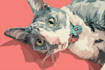 draw a awesome pet portrait, dog portrait cat portrait