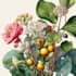 create a botanical illustration based on your idea