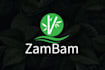 create exclusive bamboo logo design