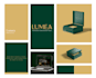 create brand identity, logo, and brand guidelines