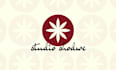 create a professional custom logo design