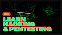 teach cybersecurity and master pentesting to make money