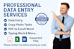 data entry processing for ms excel ,ms word, data cleaning, formatting