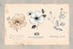 design a unique botanical boho logo