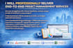 professionally deliver end to end IT project management services