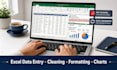 do excel data entry data cleaning formatting and spreadsheet tasks