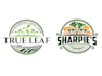 design a professional microgreen logo
