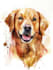 draw a cute pet, cat, dog portrait