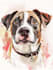 paint a custom pet portrait