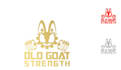 do modern professional adventure, gear logo