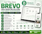 setup brevo email marketing automation and campaigns