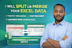 split or merge excel data columns professionally