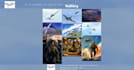 design and develop wordpress website, elementor website, wordpress design