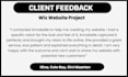 design a professional wix website that converts