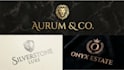 make luxury professional unique business logo design