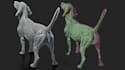 create realistic 3d animal model dog anatomy fbx animation texturing 3d rigging