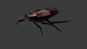 create photoreal 3d animal animation insect vfx and cgi creature compositing