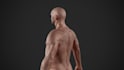 pro rig and animate character model, weight paint, blender, cc4, cc5, iclone