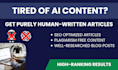 write humanized SEO articles and be your blog post writer