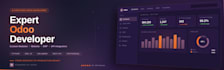 develop custom odoo module, erp integration, and odoo website