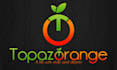 be your professional internet logo designer