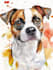 draw awesome pet memorial portrait
