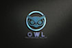 design a modern, minimalist, or detailed owl logo
