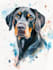 do a custom pet portrait, dog portrait, cat portrait