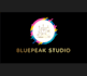 do professional custom logo design servise