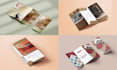 design a professional bi fold, tri fold or quad fold brochure