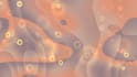 create a custom 4k abstract motion background video for your project