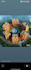 architectural design   structural design