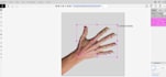do professional data annotation and labeling