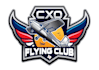design excellent airplane logo with free source file