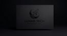 logo and ad design