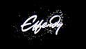 create a premium custom logo animation 2d or 3d reveal and intro