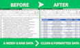 clean and organize your data in excel quickly and accurately