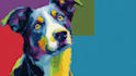 draw your pet into wpap pop art
