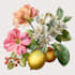 draw a  botanical illustration art for you
