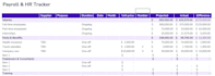 develop a professional cash flow forecast and budgeting system