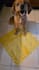 create video ugc with my 2 cats and 1 dog