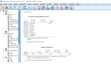 do quantitative and qualitative data analysis