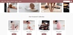 build a professional ecommerce website