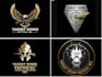 design wonderful tactical logo with express delivery