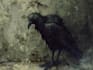 draw dark art animal illustration
