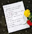 write anything in beautiful neat handwriting